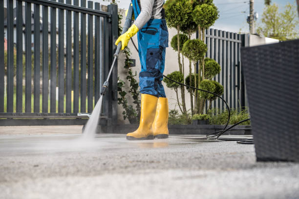 Boat and Dock Cleaning in Clare, MI